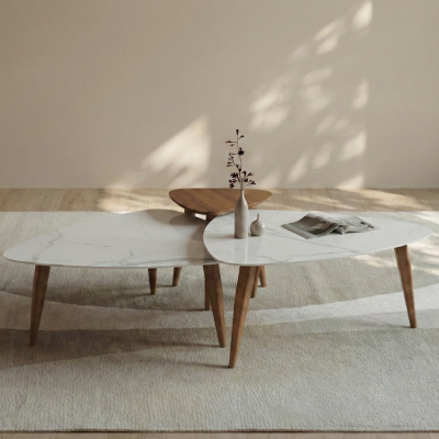 Coffee Table in Ahmedabad